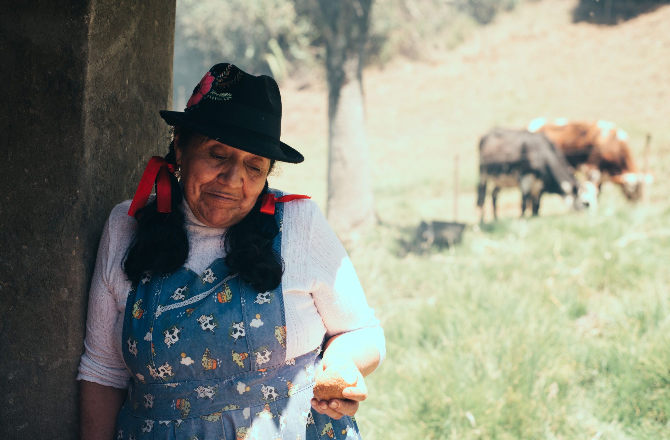 Boyaca -10