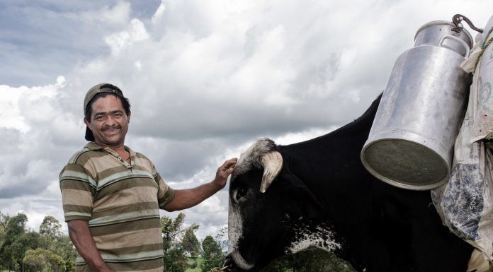 “Retratos Alpina, una mirada al territorio colombiano” una exposición de arte sostenible